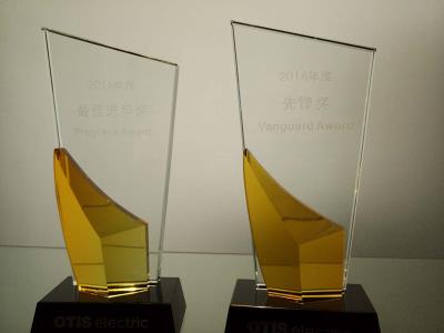2016年度最佳进步奖 先锋奖