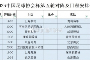 世界杯西班牙VS葡萄牙直播_高清无插件观看入口