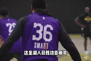 免费小九排球高清低调看直播